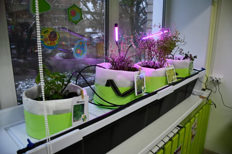 В Иванове в детском саду №15 открылась инновационная лаборатория «БиоЛаб.Дети» для юных исследователей