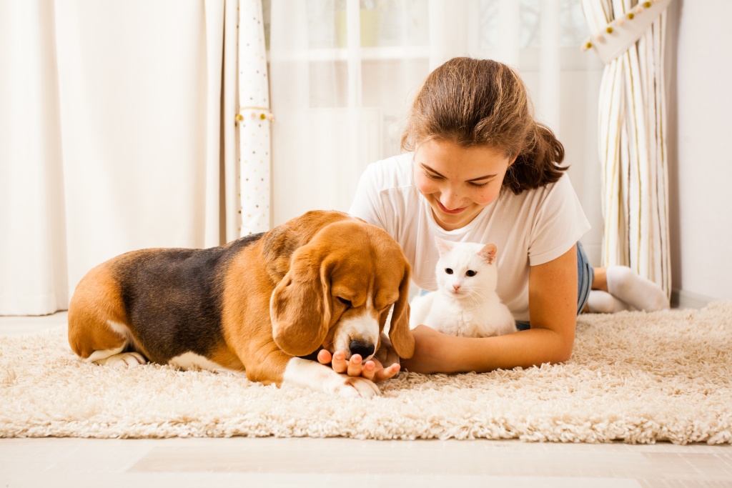 В Подольске можно зарегистрировать домашних животных через МФЦ