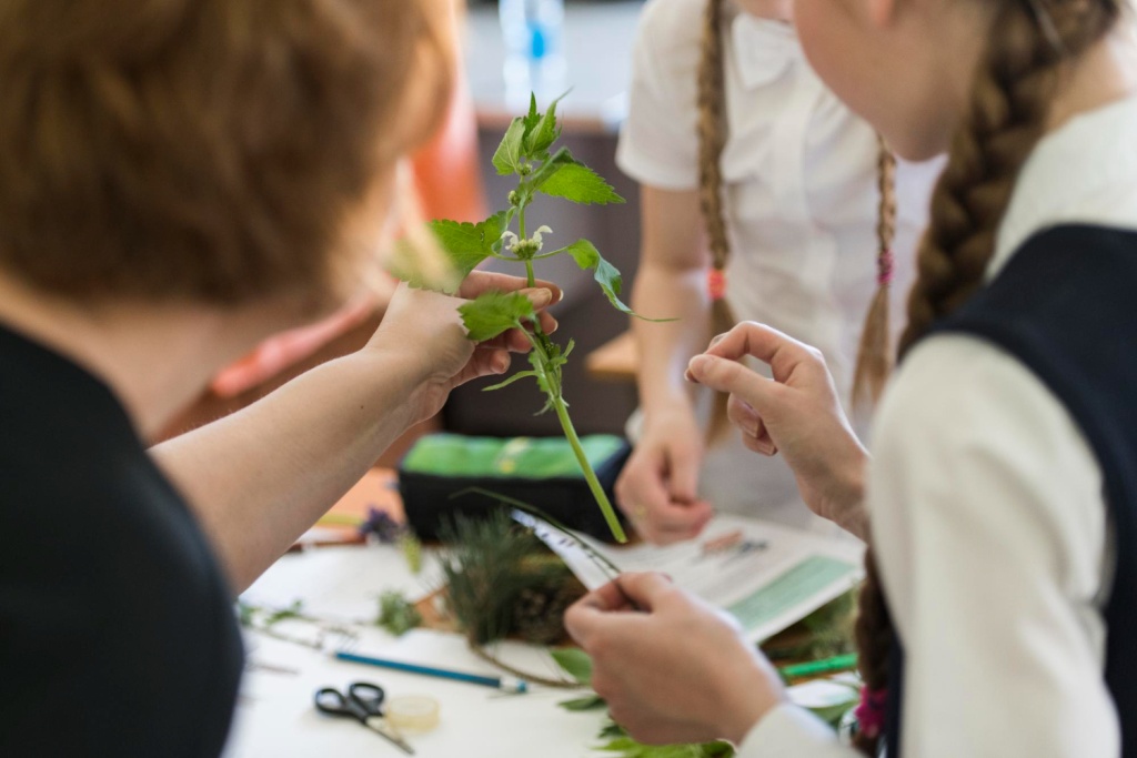 В Псковской области меняют подход к обучению профессиям в сфере агропрома