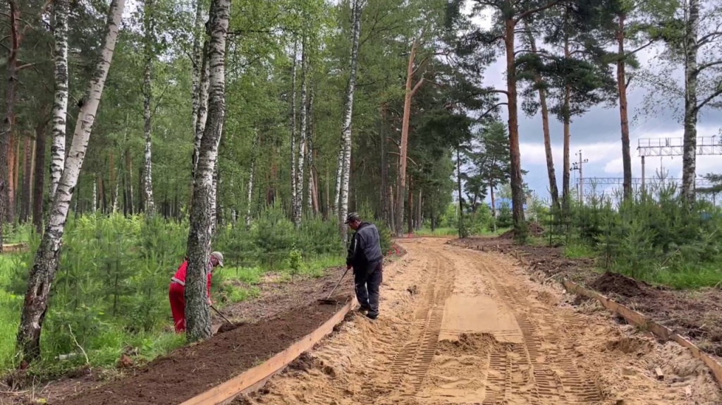 В подмосковном Пушкинском продолжаются работы по комплексному благоустройству лесопарка «Банный лес»