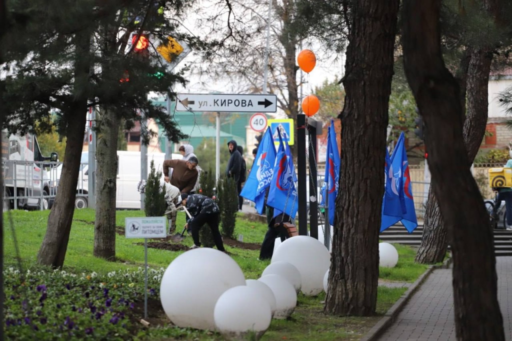 Геленджик озеленяют в рамках экопроекта «Дерево нашей семьи» Геленджик озеленяют в рамках экопроекта «Дерево нашей семьи»