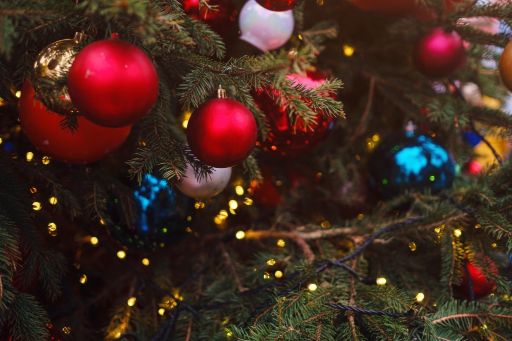 Порядка 7900 детей из Новосибирской области побывают на Губернаторской новогодней ёлке