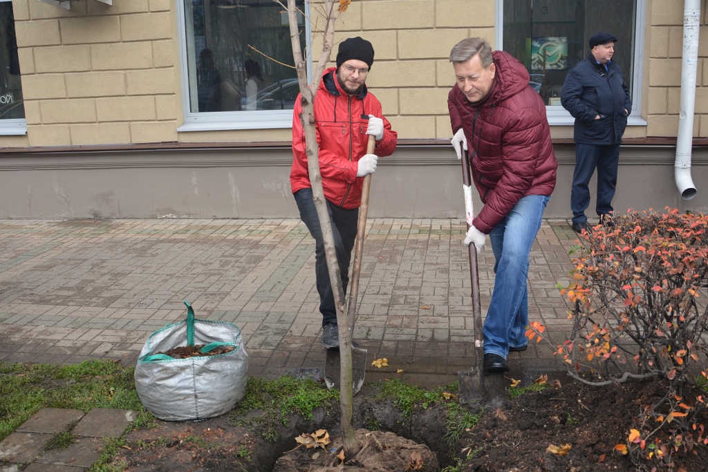 Воронежские депутаты высадили молодые клены у парка «Орленок» в преддверии Дня народного единства