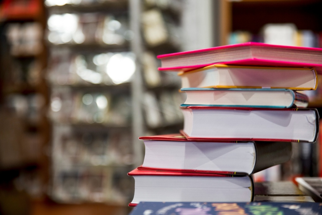 В России подвели итоги работы книжного рынка в 2024 годум