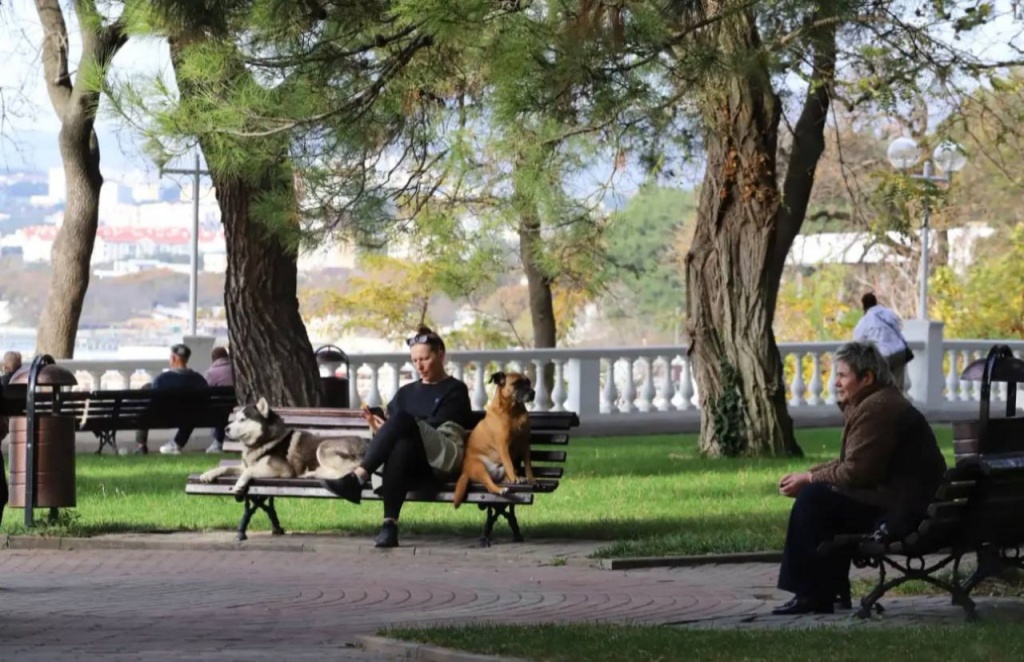 Геленджик укрепляет статус всесезонного курорта: турпоток превысил 4 миллиона гостей Геленджик укрепляет статус всесезонного курорта: турпоток превысил 4 миллиона гостей