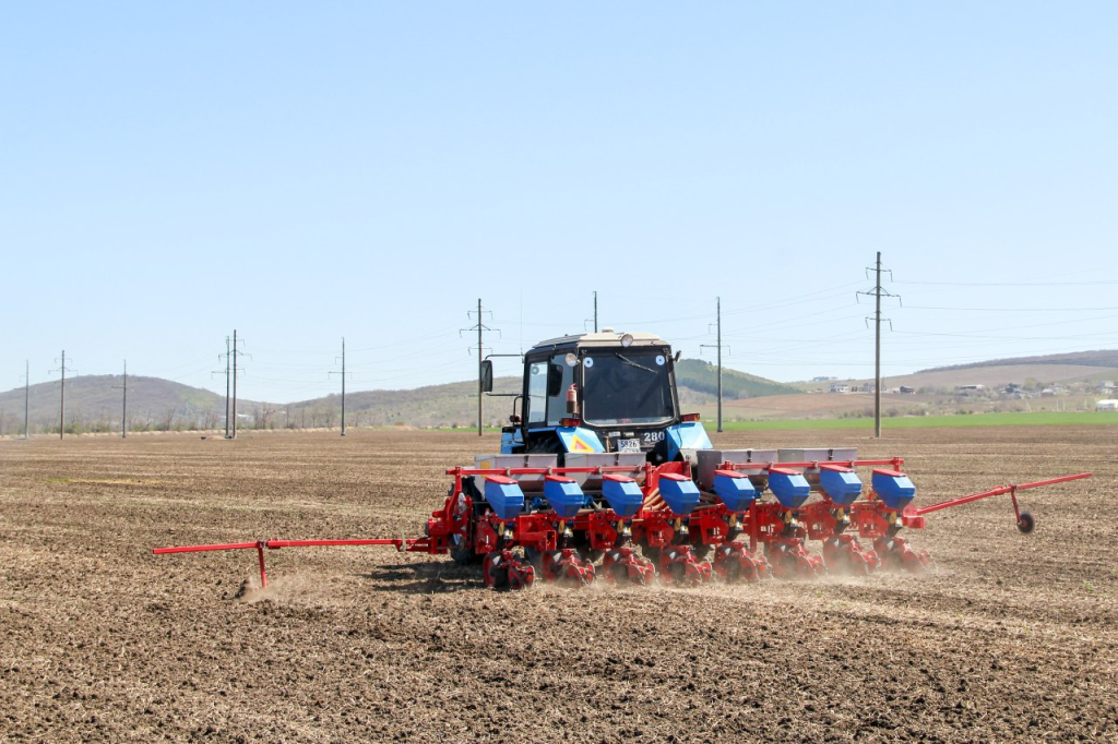 В Анапе продолжается уборка урожая В Анапе продолжается уборка урожая