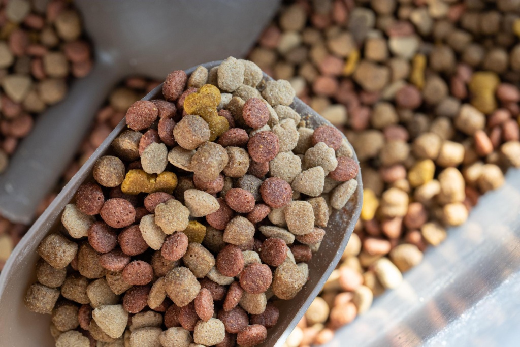 Экспорт российских кормов для домашних животных достиг рекорда