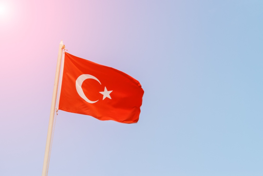 Турции предложили стать страной-партнёром БРИКС