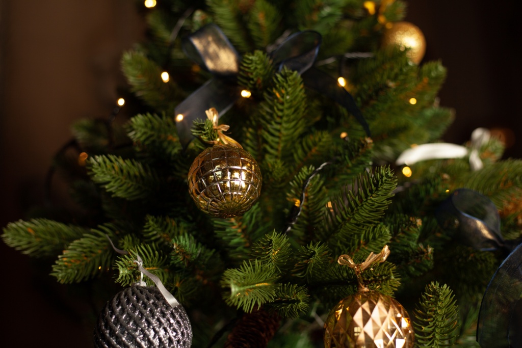 Россияне собираются отправиться на Новый год в Астрахань и Владикавказ 